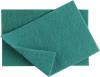 Caterers Green Scourers