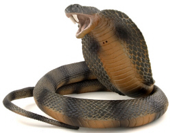 When you think insolvency practitioner THINK SNAKE!
